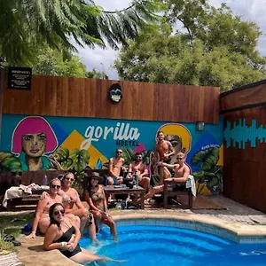  Albergue Gorilla Argentina